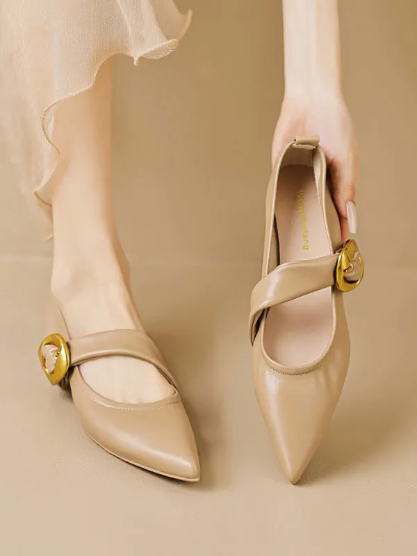 Pointed Toe Ankle Strap Mary Jane Flats