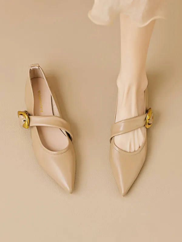 Pointed Toe Ankle Strap Mary Jane Flats